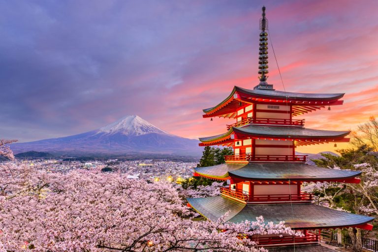 Experiencing Japan: A Journey through Tradition and Innovation