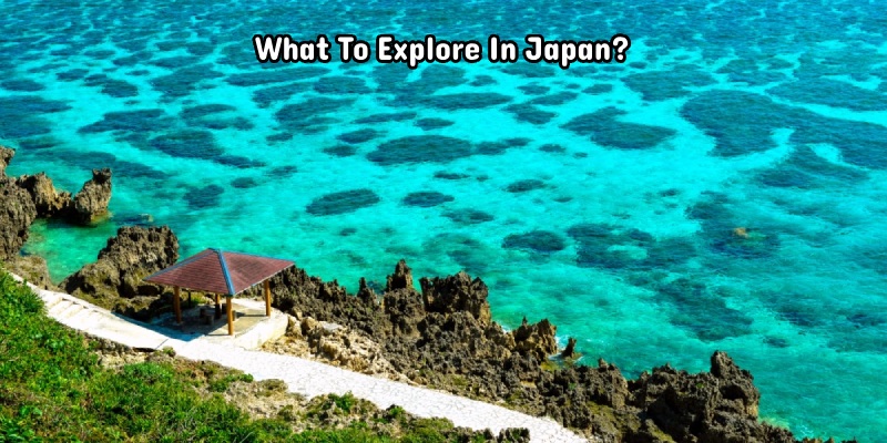 What to explore in Japan?