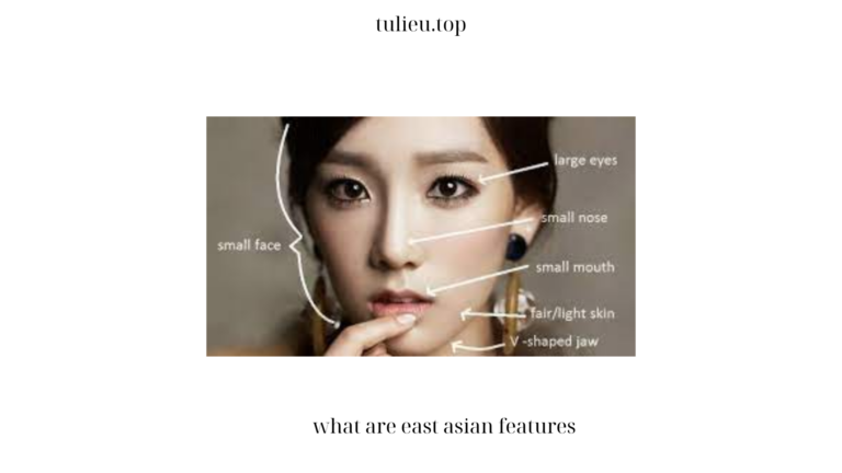 Exploring What are East Asian Features: A Comprehensive Overview